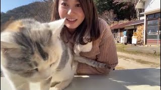 【LIVE】山奥で出会った猫と戯れる