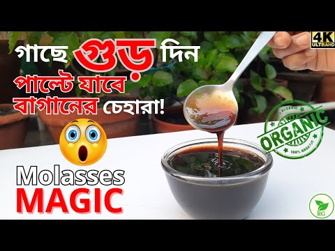 How To Use Jaggery For Plants