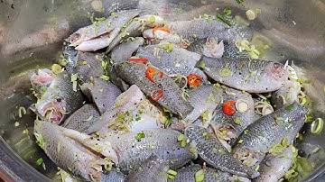 Muối cá mà cho muối trực tiếp vào cá là sai lầm / đây là cách muối cá vừa khẩu vị của từng người