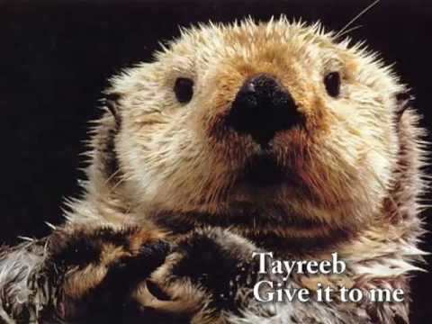 Tayreeb - Make Music Tayreeb - Make Music
