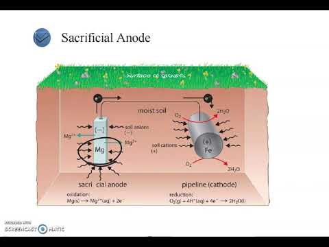 Video: Sosiale verantwoordelikheid van besigheid – die pad na stabiliteit