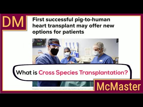Video: Prečo je transplantácia lepšia ako vysielanie?