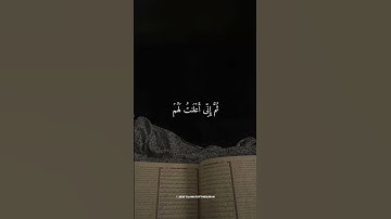 🌙🎧 أجمل ما ستسمع بصوت الشيخ ماهر المعيقلي 🤍 ارح قلبك وتدبر القرآن الكريم ✨ #ماهر_المعيقلي #short
