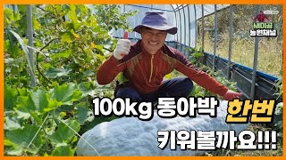 [딸기 농부_Vlog ]           100kg 동아박 한번 키워볼까요!!!
