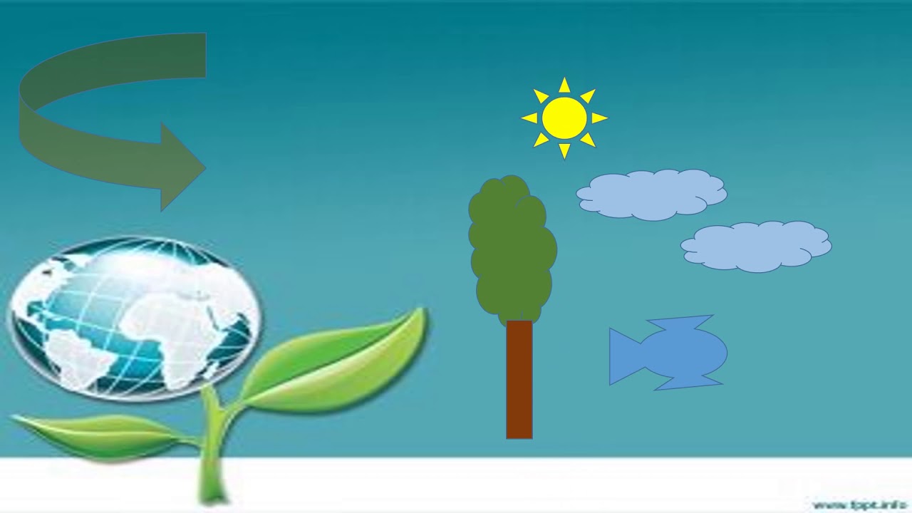 Diapositivas Del Medio Ambiente Youtube