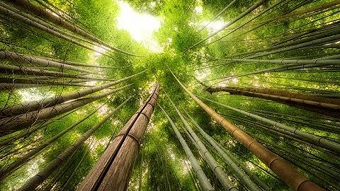 The Easy Panel For Photoshop