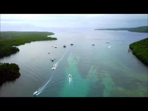 Let's Go Diving - Twin Island Dive