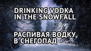 GTA V Online. Drinking vodka in the snowfall / Распивая водку в снегопад