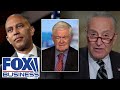 Schumer, Jeffries walked themselves into a &#39;TOTAL TRAP&#39;: Newt Gingrich