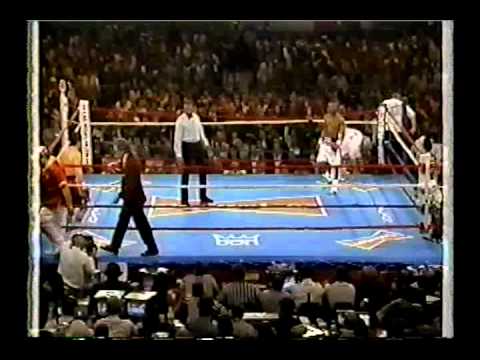 Julio Cesar Chavez vs Meldrick Taylor I