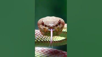 Things Only Swifties Will Understand