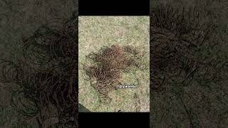 что я нашол металоискателем #металоискатель #метал