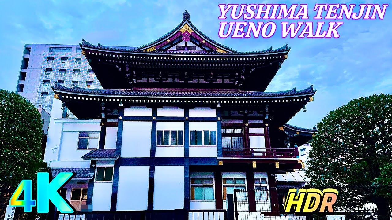 Yushima Tenjin → Ueno, Night walk, a frame from the walk