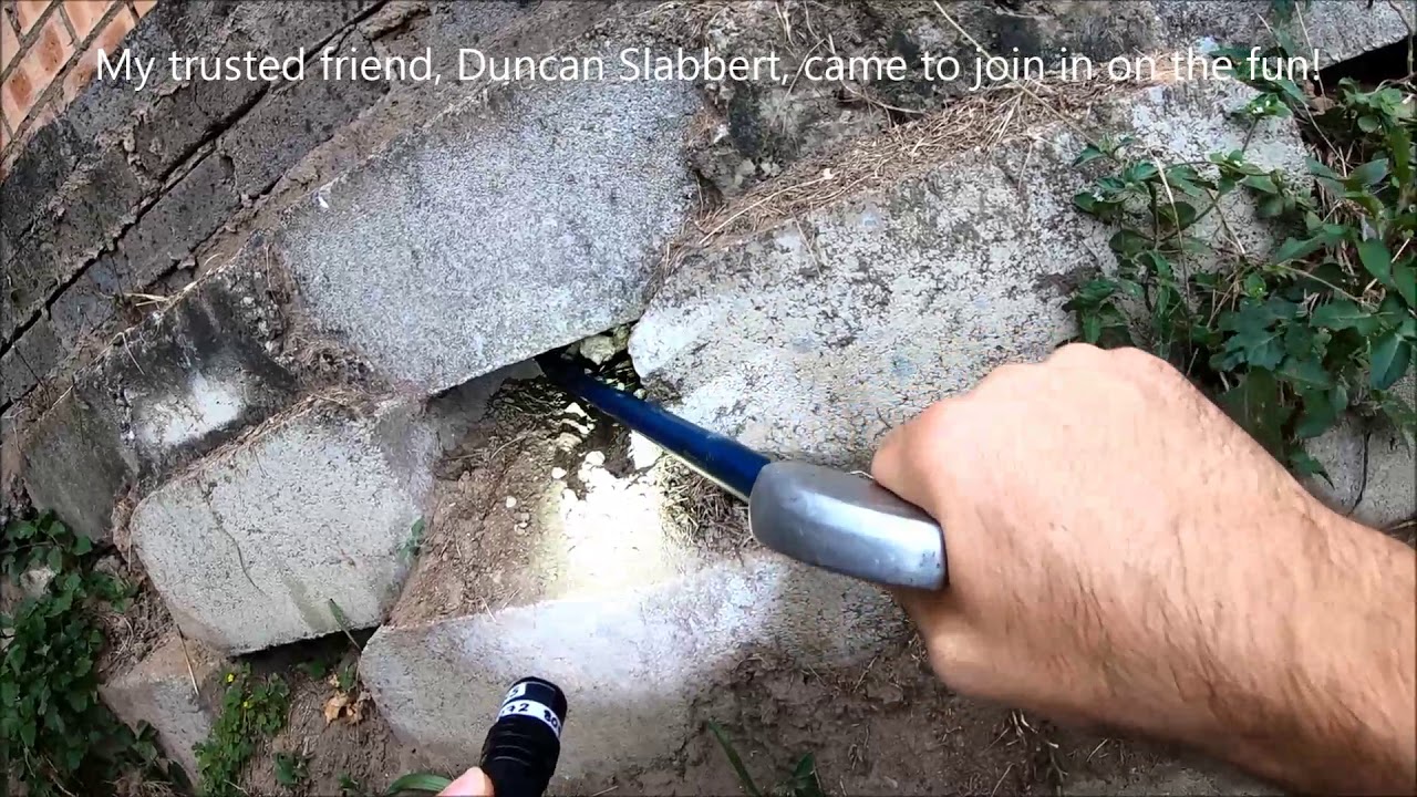 Removing a big Black Mamba from a retaining wall!