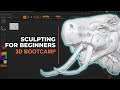 3D Bootcamp by CADA - Week 1 Sculpting