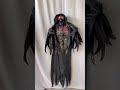 Sunstar Industries 2025 - Hanging Dark Reaper