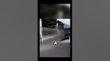 Razor WIRE Deployment #razorwire #gadgets #science #shorts