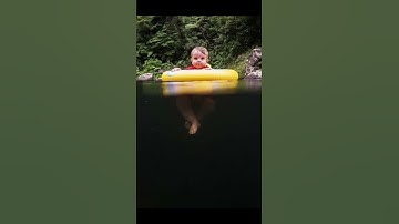 The last photo made me INSANE!!! #scary #shorts #interestingfacts #phobia #interesting #test