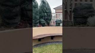 Уход за садом#уходзасадом #посадкаиуход #сад#участок #garden #растения #хвойные #хвойныйсад #дача