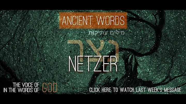 Ancient Words: Netzer(Branch) ~ Rabbi Gene Binder