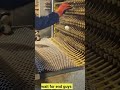 Duck Eggs Harvest | Duck Farming | Village farming|Farming #shorts #duck #farming #food