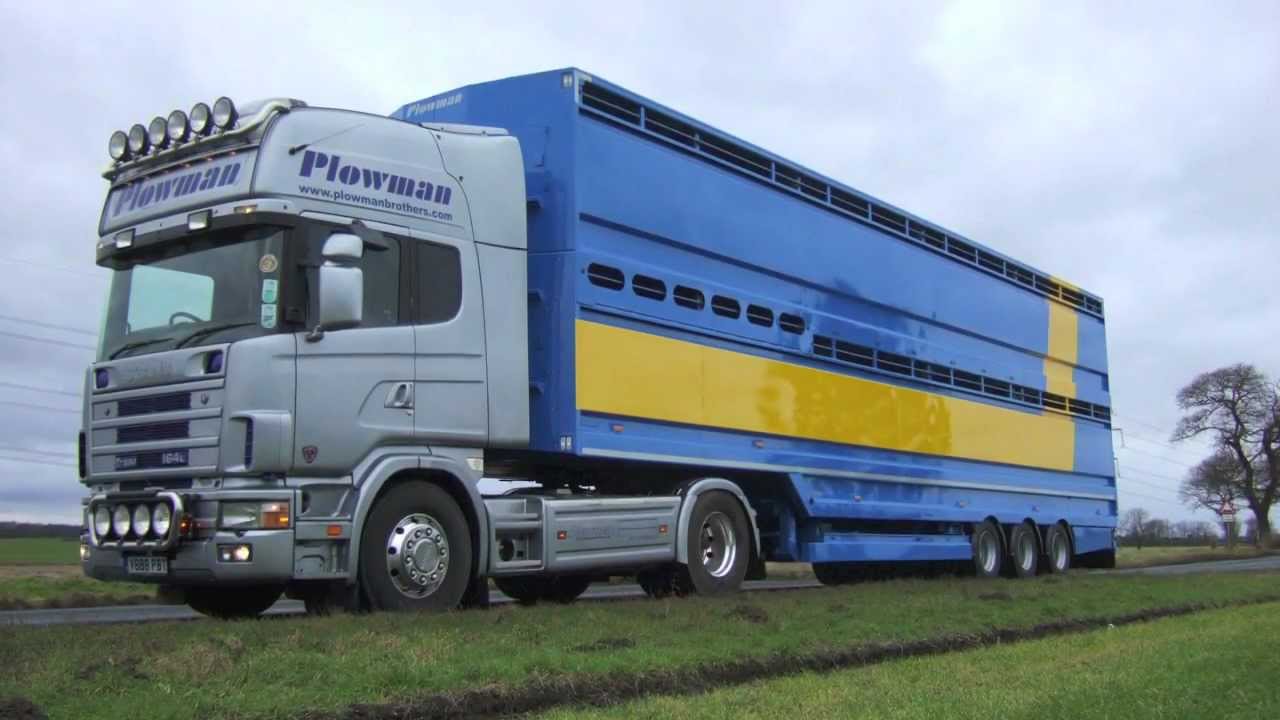 Plowman Livestock - Container Montage