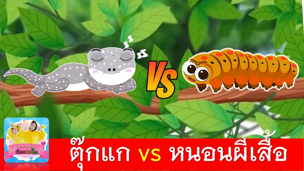 เพลงเด็ก ตุ๊กแก vs หนอนผีเสื้อ