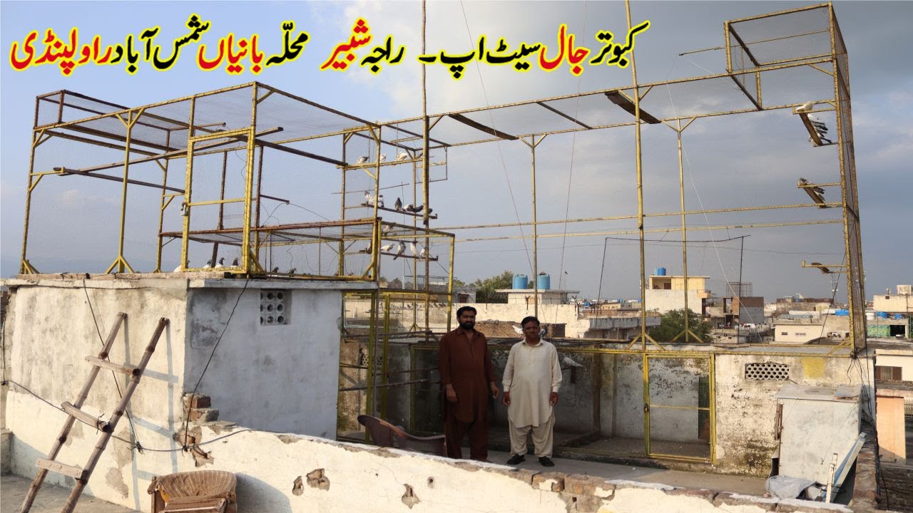 Kabootar Jaal Setup ! Pigeons Cage Setup ! Raja Shabbir Mohalla Bhania Shamsaabad Rawalpindi