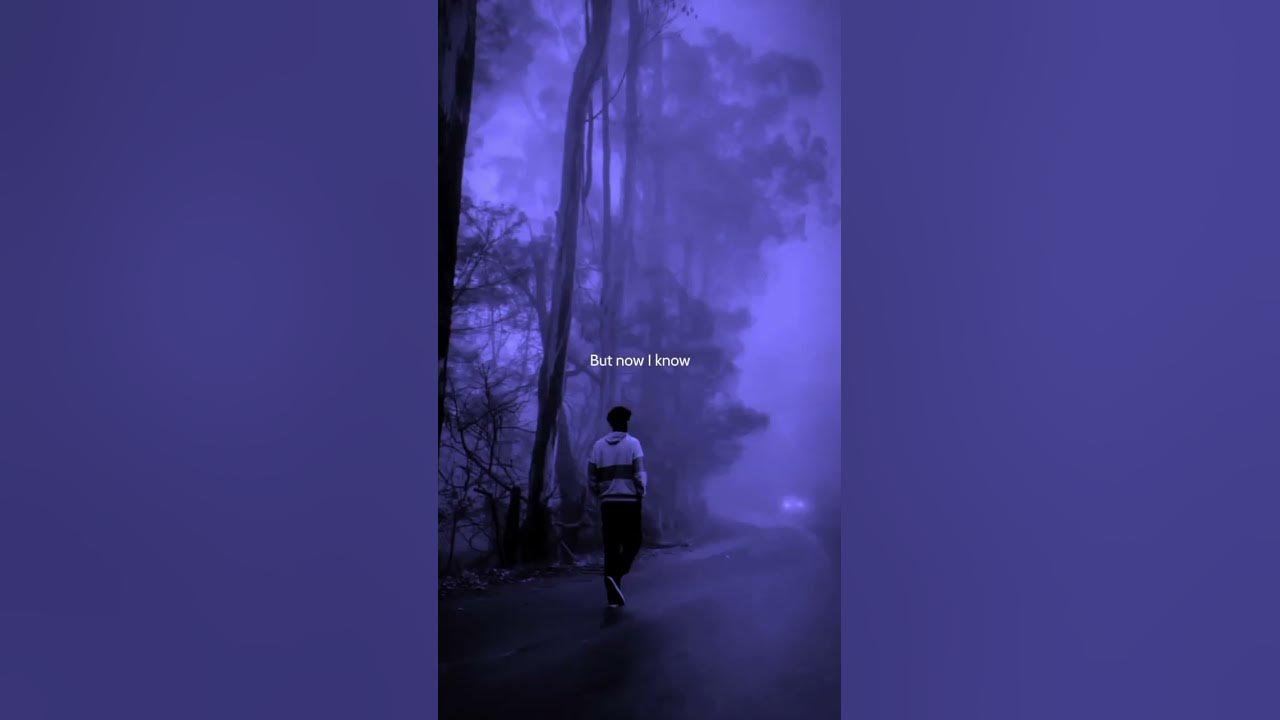 Love Yourself - Justin Bieber (Lyrics) | My mama don't like you and she likes everyone | Aesthetic Love Yourself - Justin Bieber (Lyrics) | My mama don't like you and she likes everyone | Aesthetic