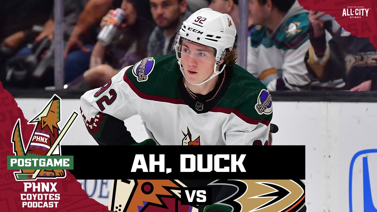 Logan Cooley scores first NHL goal but Arizona Coyotes lose in OT to ...