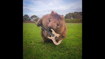 Exterminator Final   9th Nov 2025