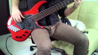 Mire Deep | Cult Of Luna Bass Cover | Dingwall Combustion 5