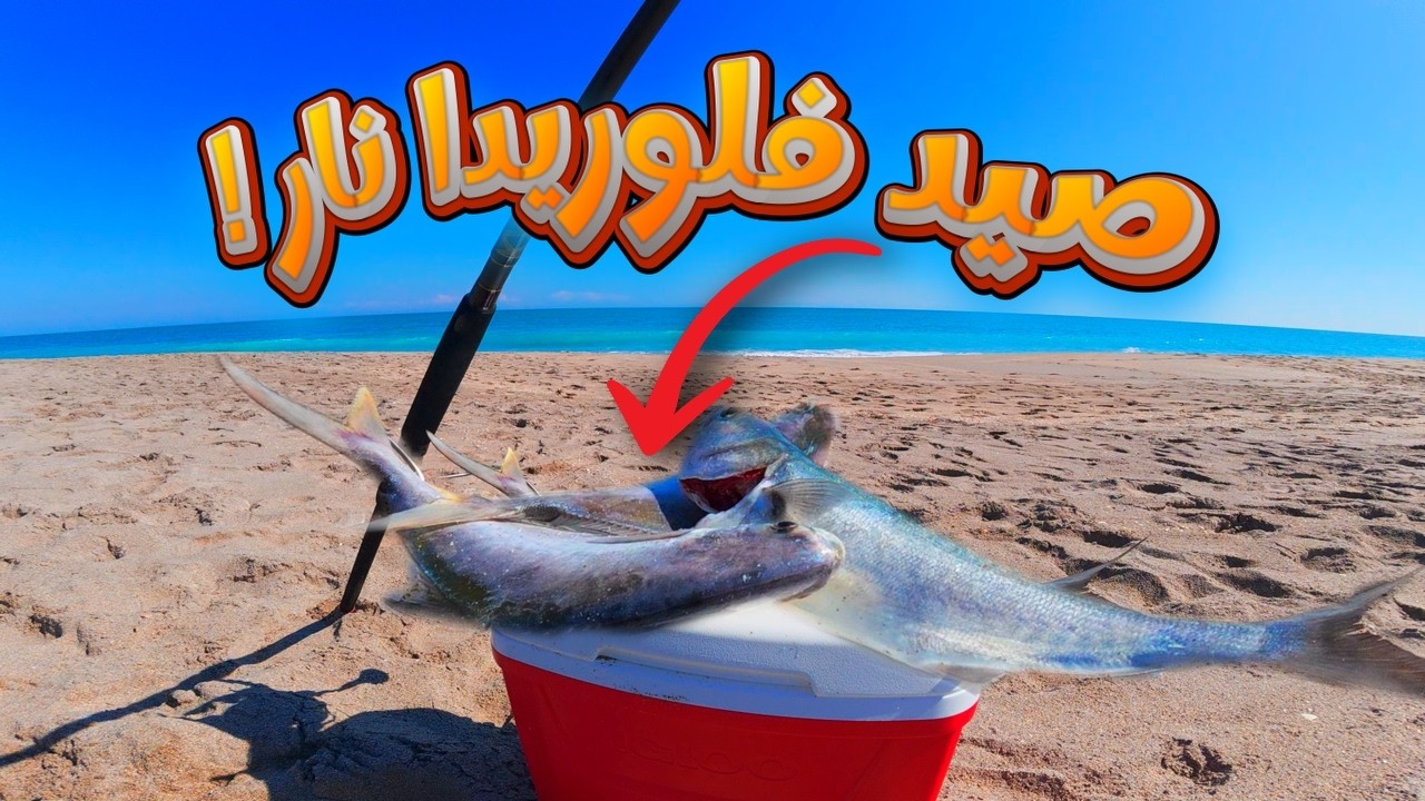 صيد فلوريدا نار 🔥 بومبانو وبلو فيش — وصلت الحد القانوني!