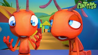 Speed Freaks  | 😄🐜| Antiks Adventures - Joey and Boo's Playtime by Antiks Adventures - Joey and Boo's Playtime 5,297 views 1 month ago 2 minutes, 14 seconds