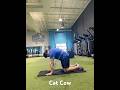 Cat Cow - Upper/Mid/Low back pain relief