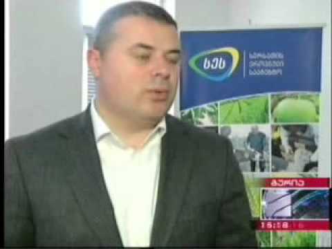 რეგიონული სამსახურები გურიაში