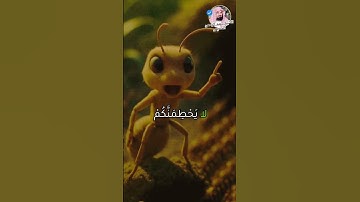 سوره النمل تلاوه خاشعه ارح سمعك حالات واتساب دينيه جمعه مباركه