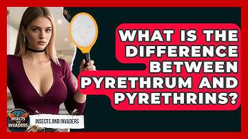 What Is The Difference Between Pyrethrum And Pyrethrins? - Insects and Invaders