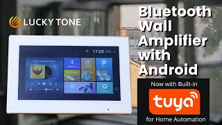 Android Wall Amplifier With Built-In Tuya Smart App