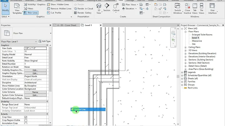 Revit Basics - Graphic Display for BIMorNo Blog