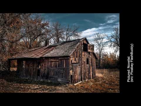 Nobody Survives Alone [A Quick Ramble]