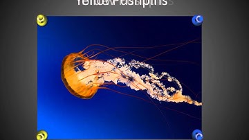 Handmade Slides: Pushpins for PowerPoint - 02