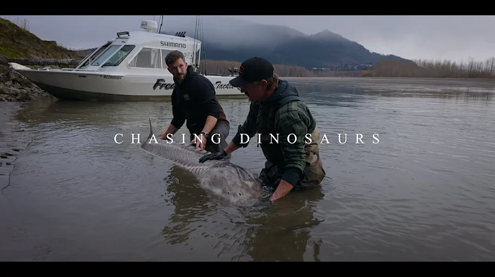 Chasing Dinosaurs | Sturgeon Fishing | Fraser River