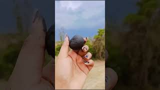 Walnut Shell Art 🎨  #art #artsandcrafts #artoftheday #craft #diy #youtubeshorts #ytshorts #penguin