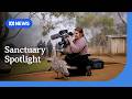 Tasmania's Bonorong wildlife hospital to star in docuseries | ABC NEWS