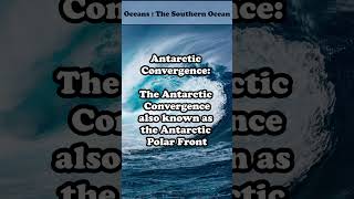 Antarctic Convergence Natures Nutrient-Rich Boundary