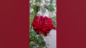 Surah Al Falaq 🤲سورة الفلق🤲 most beautiful Surah ❤️❤️