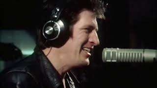 Herman Brood & His Wild Romance - Feels like love (1977)