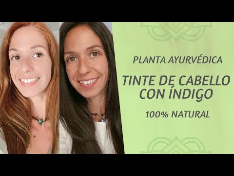 Video: DIY Indigo Plant Dye – ¿Cómo se hace el tinte con plantas índigo?