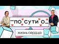 ПО СУТИ О: жизнь сердца // профессор Илья Егоров